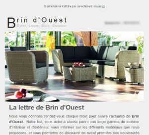 Thème graphique pour newsletter